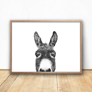 Donkey Print, Digital Download, Peekaboo Animal, Zoo Decor, Farm Animal Art, Farm Photography, Animal Face, Animal Portrait, Donkey Poster