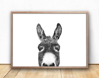 Donkey Print, Digital Download, Peekaboo Animal, Zoo Decor, Farm Animal Art, Farm Photography, Animal Face, Animal Portrait, Donkey Poster