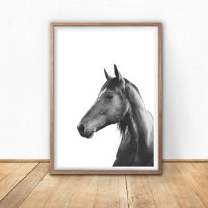 Art Print, Black And White Art, Digital Download, Black Horse Portrait, Nursery Wall Art, Large Poster, Horse Print