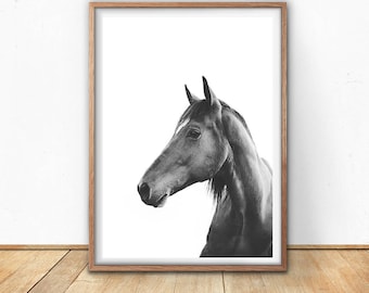 Art Print, Black And White Art, Digital Download, Black Horse Portrait, Nursery Wall Art, Large Poster, Horse Print