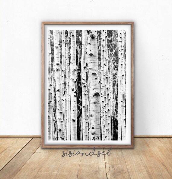 Black And White Birch Tree Print Digital Download Printable Wall Art Forest Prints
