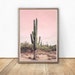 Cactus Picture, Printable Wall Art, Wall Decor, Home Decor, Desert Print, Cactus Print, Blush Pink, Digital Download, Nature Photography