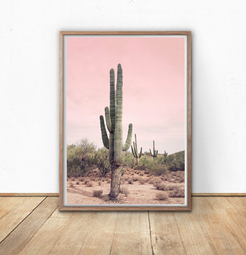 Cactus Picture, Printable Wall Art, Wall Decor, Home Decor, Desert Print, Cactus Print, Blush Pink, Digital Download, Nature Photography image 1