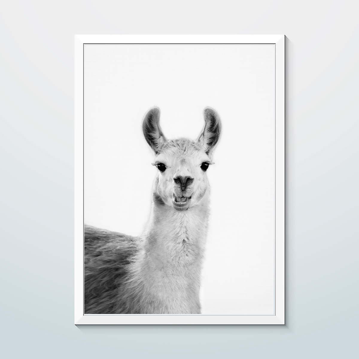 Llama Print Llama Wall Art Printable Photo Digital | Etsy