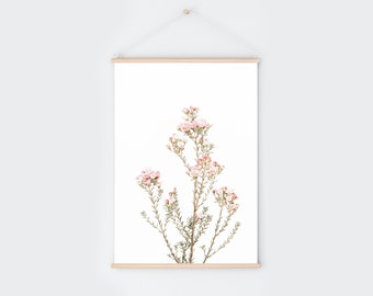 Pink Wax flower Digital Photo Download,  Boho Minimalist Decor, Modern Plant Decor, Floral Wall Art