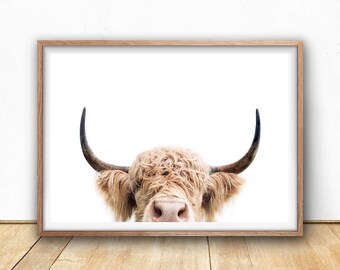 Highland Cow Print, Digital Download, Cow Poster, Cattle Photography, Animal Portrait, Cow Closeup, Farm Nursery