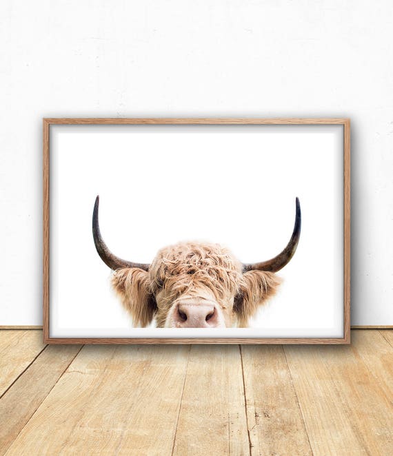 Highland Cow Print, Digital Download, Cow Poster, Cattle Photography, Animal Portrait, Cow Closeup, Farm Nursery