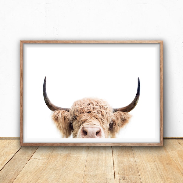 Highland Cow Print, Digital Download, Cow Poster, Cattle Photography, Animal Portrait, Cow Closeup, Farm Nursery