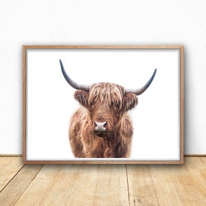 Farm Animal Digital Print, Highland Cow, Printable Wall Art, Shabby Chic Decor, Farm House Decor