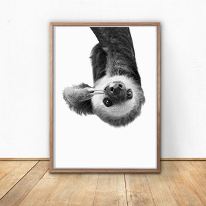 Sloth Printable, Wall Art, Black And White, Animal Prints