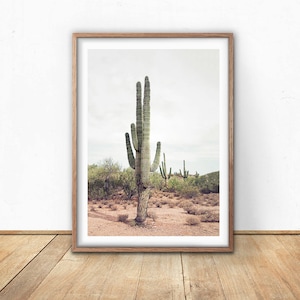 Cactus, Digital Prints, Wall Art, Digital Download, Printable, Photography, Bohemian, Home Decor, Desert Cactus, Cactus Print image 1