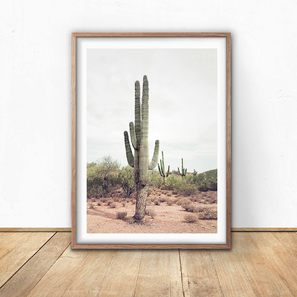 Cactus Wall Art Etsy