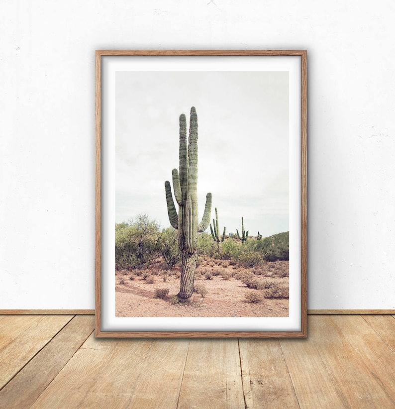 Cactus, Digital Prints, Wall Art, Digital Download, Printable, Photography, Bohemian, Home Decor, Desert Cactus, Cactus Print image 1