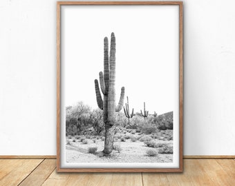 Black and White Cactus Digital Print