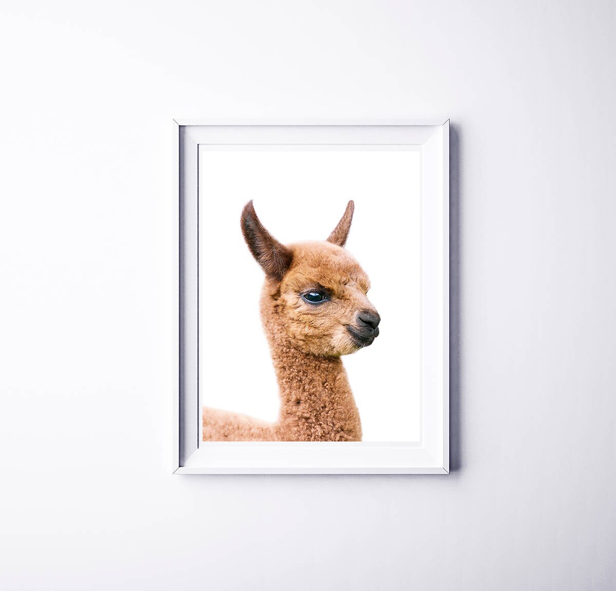 Baby Llama Print Printable Nursery Art Digital Download | Etsy