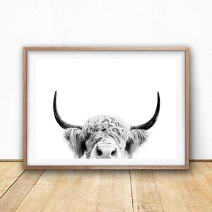 Highland Cow Print -  Farm Animal Wall Art, Digital Download, Cow Poster, Cattle Photography, Animal Portrait, Black And White, Farm Nursery