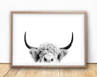 Highland Cow Print - Farm Animal Wall Art, Digitale Download, Koe Poster, Veefotografie, Dierenportret, Zwart-wit, Boerderijkwekerij