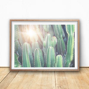 Cactus Print- Cacti Art Print, Digital Wall Art, Cactus Download, Boho Decor, Southwestern Art, Botanical Print, Desert Cacti, Garden Cactus