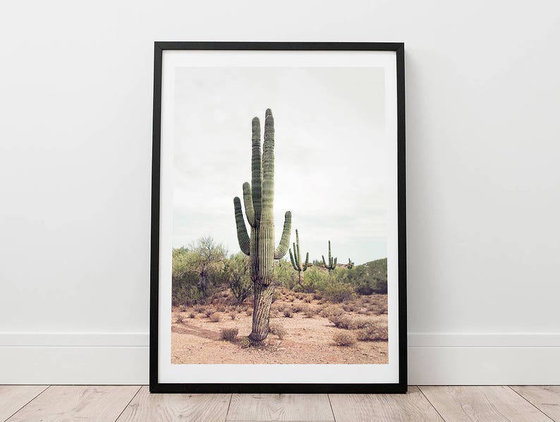 Cactus, Digital Prints, Wall Art, Digital Download, Printable, Photography, Bohemian, Home Decor, Desert Cactus, Cactus Print image 4