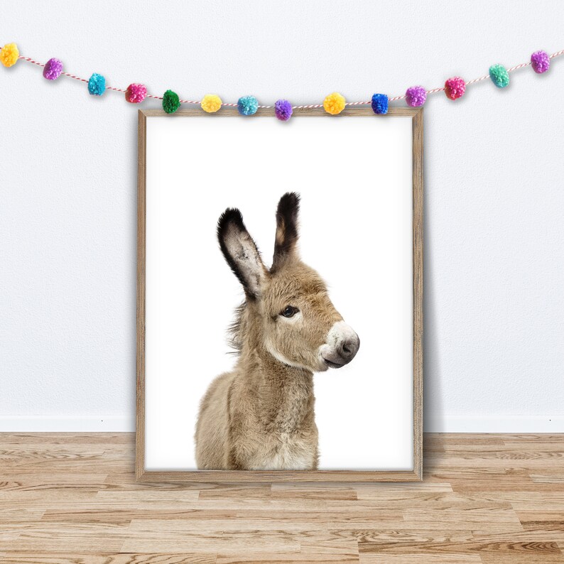 Baby Donkey Wall Art Digital Download Art Farm Nursery Etsy
