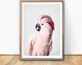 Pink Cockatoo, Prints, Cockatoo Bird, Digital Download, Gallah Wall Art, Printable, Tropical Print, Pink Wall Art, Australia,