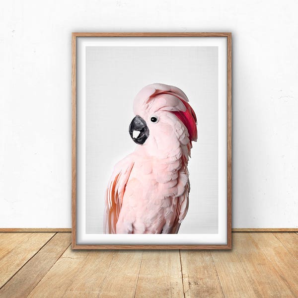 Pink Cockatoo, Prints, Cockatoo Bird, Digital Download, Gallah Wall Art, Printable, Tropical Print, Pink Wall Art, Australia,