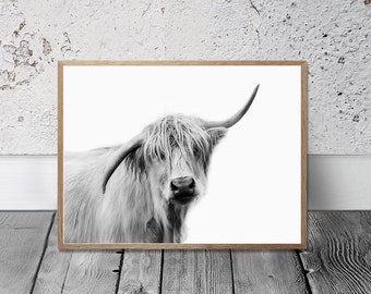 Cow Print, Highland Cow Art Print, Digital Print, Farm animal Wall Art, Country Cottage Decor, Kitchen Art, Cattle Photo, Bull Portrait