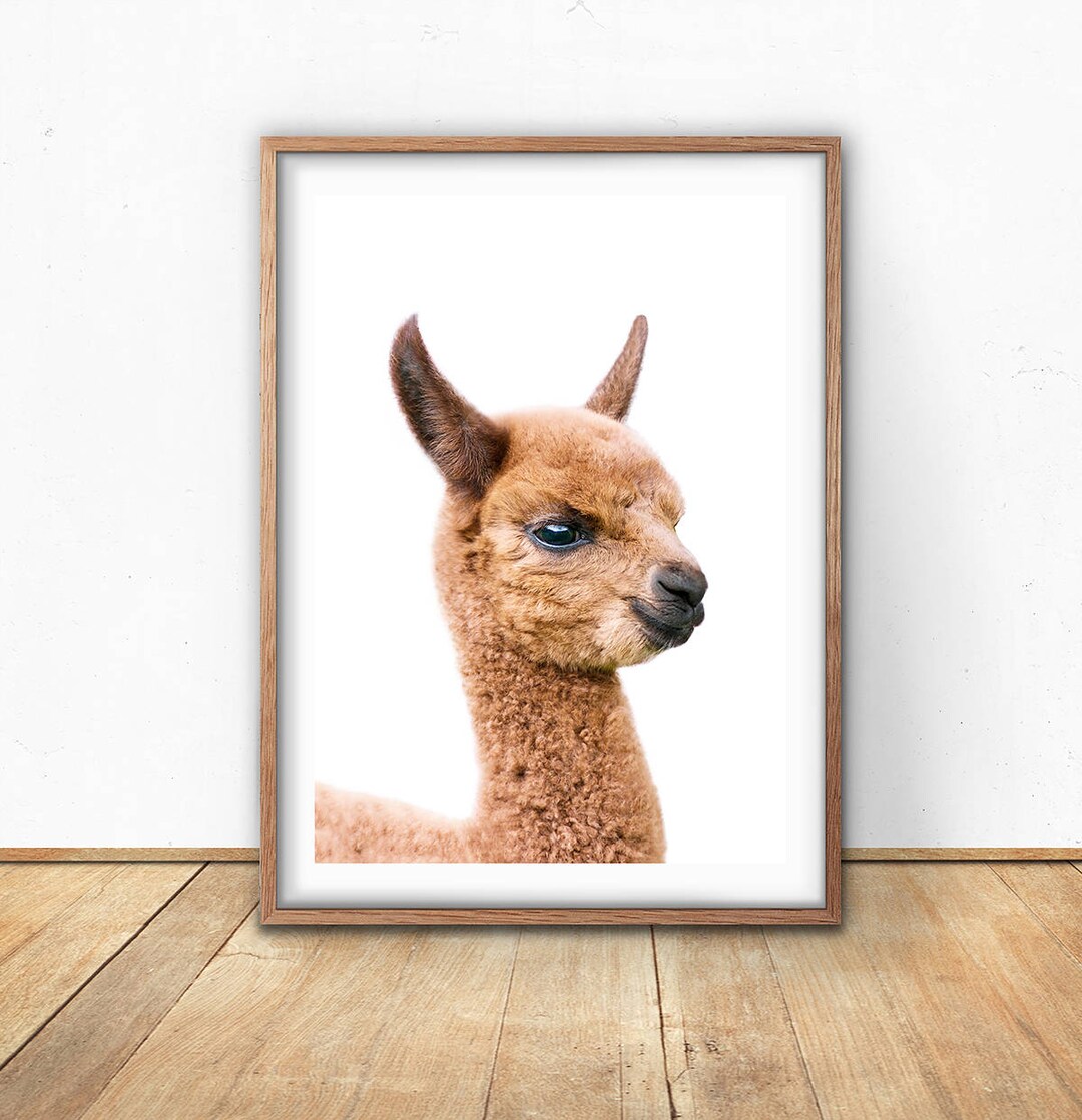 Baby Llama Print Printable Nursery Art Digital Download - Etsy
