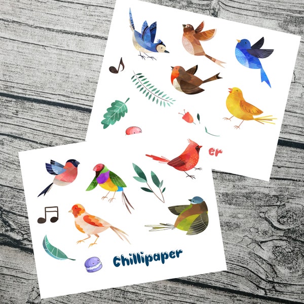 Bird stickers-Planner stickers-Nature stickers-Journal decoration-Bujo decoration-Bullet journal-Robin-Blue jay #1097