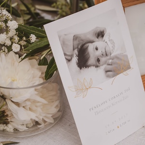 Faire-Part de Naissance Lauriers I
