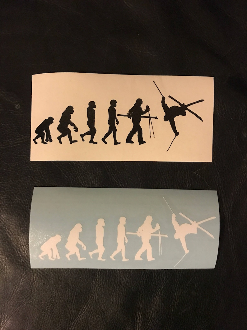 Skiing Evolution Merch zdjęcie 3