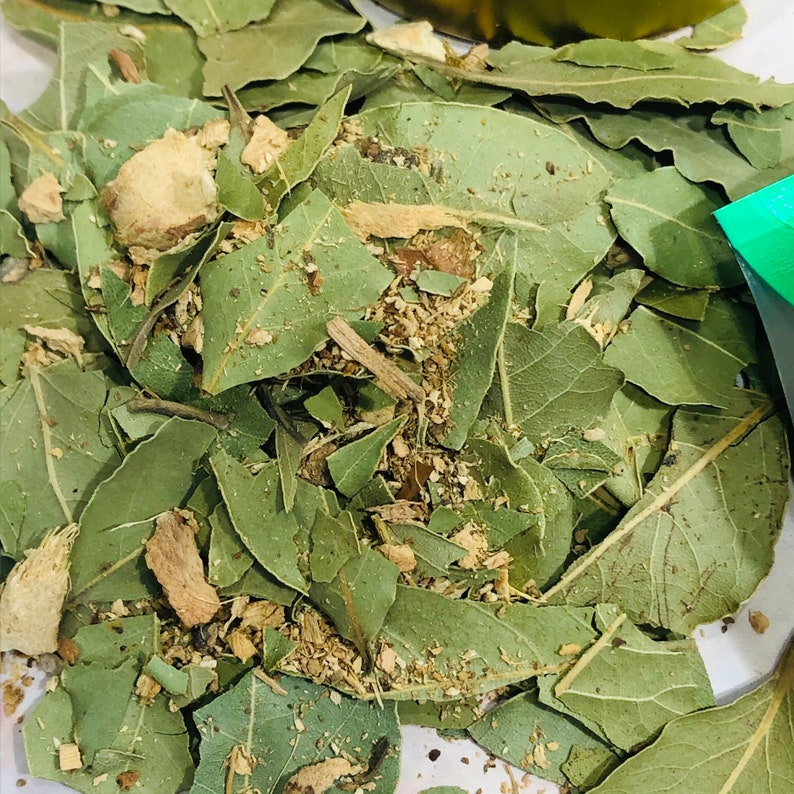 GINGER BAY Leaf Loose Leaf Tea 1 Oz Etsy