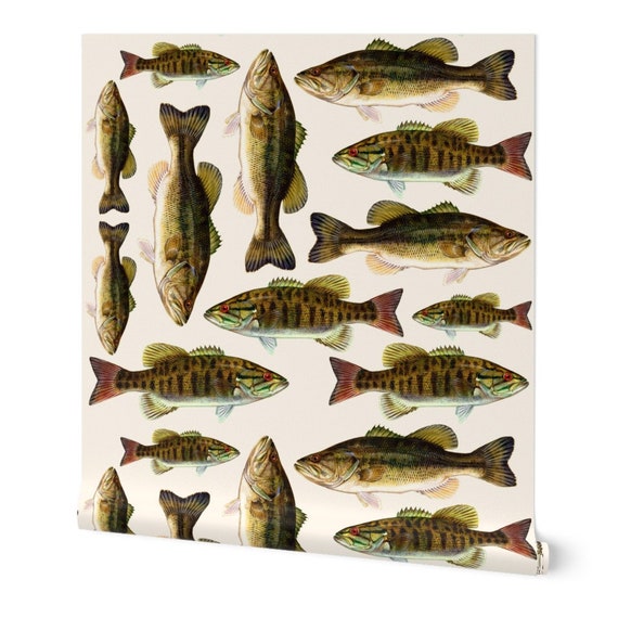 Fishing Commercial Grade Wallpaper Bass Fish by Weavingmajor