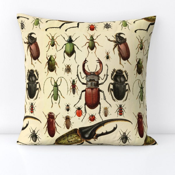 Beetles Throw Pillow - Beetles by magnoliacollection - Insect  Scarab Vintage Antique Kids Decorative Square Throw Pillow by Spoonflower