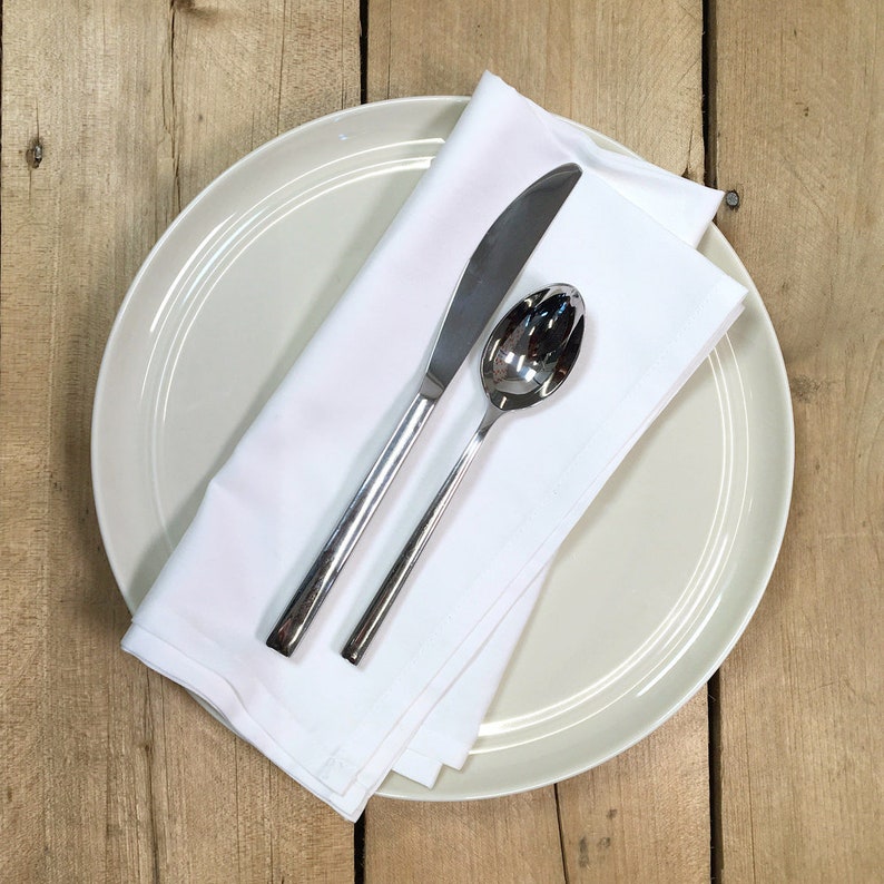 Rustic Forest Bison Fox Cloth Napkins by Spoonflower - Summer Aurora by nouveau/_bohemian Woodland Whimsical Dinner Napkins Set of 2