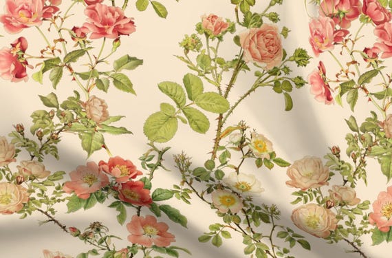 Blumen Bettwäsche - Englisch Rose Alabaster von peacoquettedesigns - Vintage Creme Floral Rose Baumwollsatin Bettwäsche Set Bettwäsche von Spoonflower