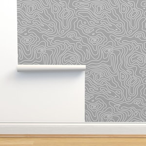 Papier peint topographie non encollé - Carte topographique par furbuddy - Rouleau double de papier peint gris illusion d'optique géométrique moderne par Spoonflower