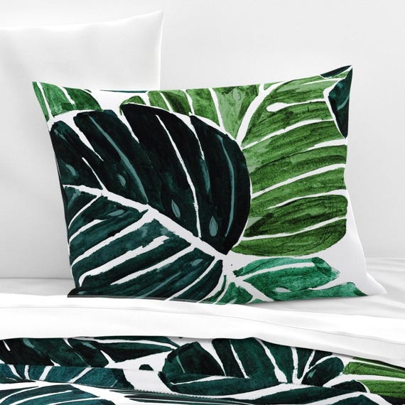philodendron frucht kaufen Philodendron spiritus sancti