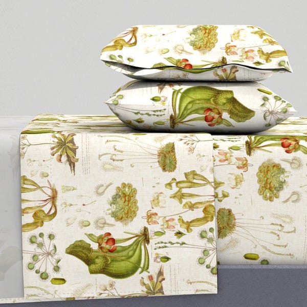 Botanical Sheets - Carnivorous Plant Illustration by thecalvarium - Vintage Style Sundew  Cotton Sateen Sheet Set Bedding by Spoonflower