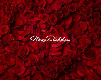 PSD & JPG Heart of Roses rose petals Digital Background, Newborn Digital Backdrop