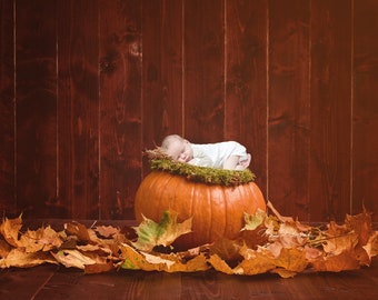 PSD & JPG Autumn, autumn leaves, Moss, pumpkin, digital background, newborn digital backdrop,  with special Set of Brush for Photoshop