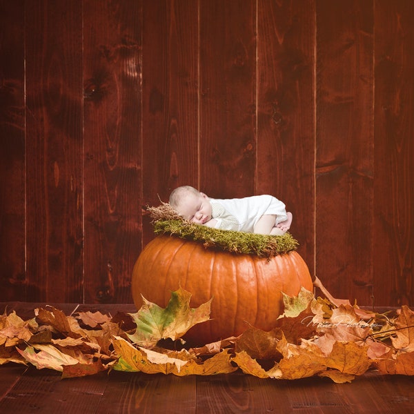 PSD & JPG Autumn, autumn leaves, Moss, pumpkin, digital background, newborn digital backdrop,  with special Set of Brush for Photoshop