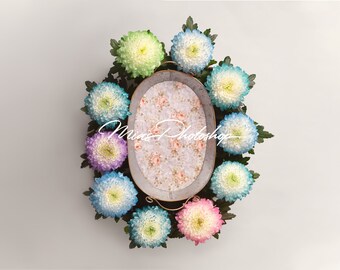 PSD & JPG Flower nest with peel, digital background, newborn digital backdrop