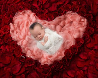 PSD & JPG Heart of Roses rose petals Digital Background, Newborn Digital Backdrop, with special brush set for Photoshop