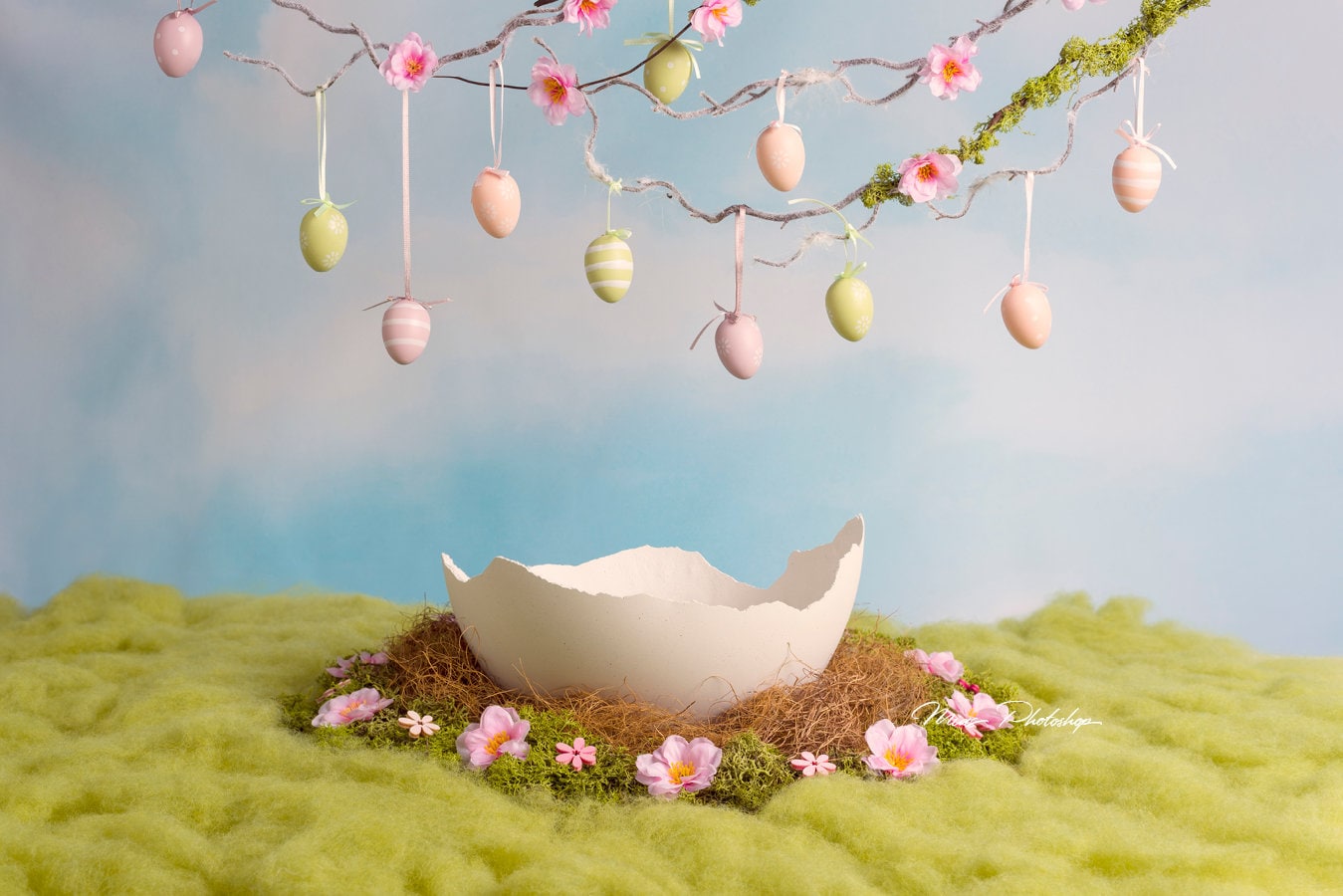 PSD & JPG Easter Digital Background Newborn Digital Backdrop Etsy
