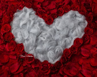 PSD & JPG Heart of Roses rose petals Digital Background, Newborn Digital Backdrop, with special brush set for Photoshop