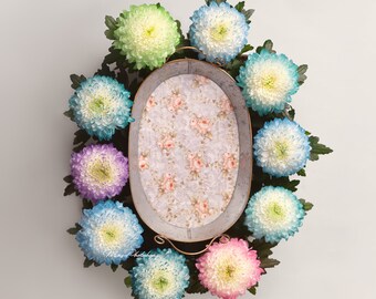 PSD & JPG Flower nest with peel, digital background, newborn digital backdrop, special Set of Brush for Photoshop