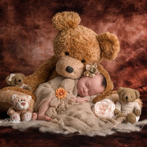 PSD & JPG Teddys Digital Background, Newborn Digital Backdrop, with special Set of Brush for Photoshop