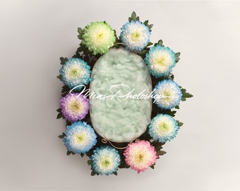 PSD & JPG Flower nest with green wool, digital background, newborn digital backdrop