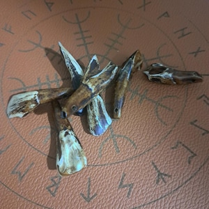 May include: A collection of carved, bone-colored objects with brown and white patterns. The objects are scattered on a brown surface with etched symbols. The shapes vary, with some appearing pointed and others more rounded.